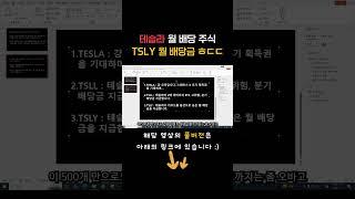 거의 월세급으로 들어오는 테슬라 관련주 월 배당금