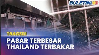 TRAGEDI | 1,000 Haiwan Eksotik Mati Dalam Kebakaran