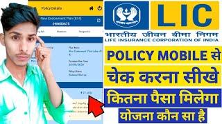 LIC: lic policy mobile se kaise check kare | how to check lic policy balance online |lic account