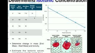 Determine the Isotonic Concentration for a Cell in Solution