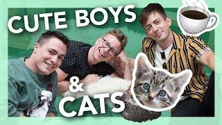 cat cafe gossip session ft. Colton Haynes & Kevin McHale