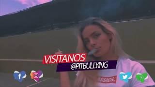 PUBLICIDAD PITBULLYING CLOTHING