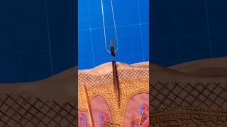 How to remove wooden splinters 