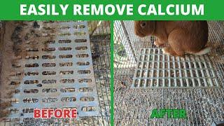 How To Easily Remove Built Up Rabbit Urine - Don't Spend All Day Scrubbing!