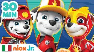 Paw Patrol - La Squadra dei Cuccioli | 30 MINUTI dei migliori momenti di Marshall! | Nick Jr