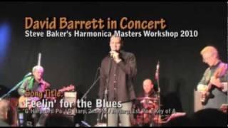 Feelin' for the Blues - David Barrett Live at Steve Baker's Harmonica Masters Workshop