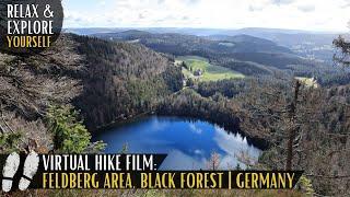 Mount Feldberg - Experience Black Forest hiking yourself | Virtual Hike Germany with Relaxing Music