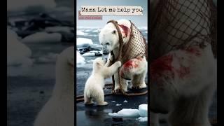 A touching story about an injured polar bear and her pup getting rescued by humans #animals #bear