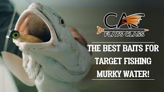 The Best Baits For Target Fishing Murky Water | Flats Class YouTube