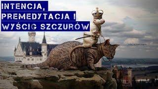 Jak wygrać wyścig szczurów dzięki intencji i premedytacji - Rafał Mazur ZenJaskniowca.pl