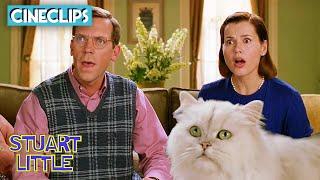 Snowbell's Plan Is Evil!  | Stuart Little | CineStream