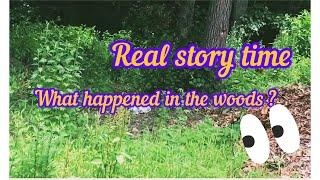 Adventure in the woods | Animal facts for kids | learn and fun time | Educational
