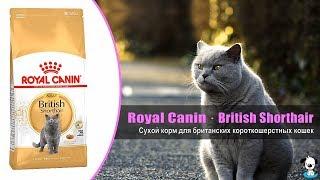 Корм для взрослых кошек породы Британская короткошерстная · Royal Canin British Shorthair