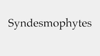 How to Pronounce Syndesmophytes