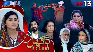 Baghul - Episode 13 | Sindh TV Drama Serial | SindhTVHD Drama