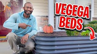 Battle Of The Beds: Metal Vs. Wood - Which Is Best For Your Garden? #vegega #raisedbedgarden