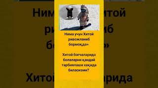 Нима учун Хитой ривожланиб бормоқда #rek #hikmatlar #tiktok #новости #tezkunda #rekkkkkk #video