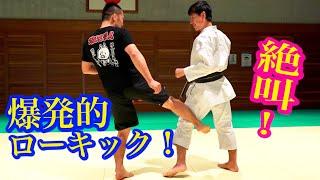 How to use Ancient Karate Kata for the low kick（with various language subtitles）