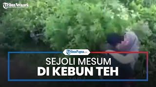 Video Sejoli Ciuman di Kebun Teh Kemuning Tersebar setelah Teknisi CCTV Lakukan Perawatan Alat