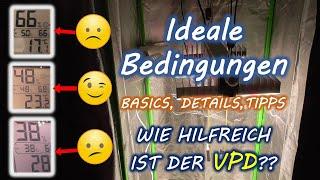 Temperatur und Luftfeuchtigkeit im Growzelt richtig einstellen | VPD als Hilfsmittel