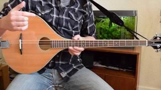 Beginner Irish Bouzouki Lesson - Tuning and First Chords