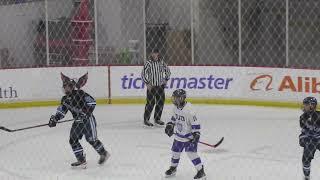 Sijan Hockey DJO vs Yorktown 01 10 2025 Part 10