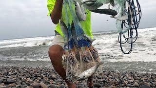 A single TANK in a ROUGH SEA and the net comes out full of FISH