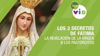 Los 3 secretos de Fátima: La revelación de la Virgen a los pastorcitos - Tele VID