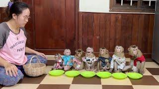 7Siblings Monkeys Well-Manner Sit For Each Plates Of Peanuts Party