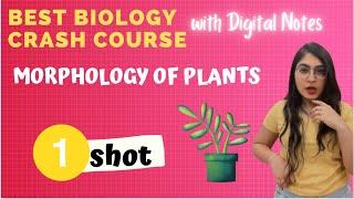 Morphology of Plants in One Shot |Best Biology Crash Course | Ishita Khurana