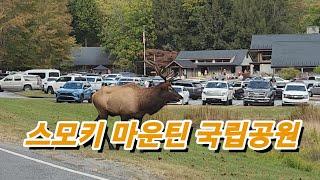 미국에서 단풍여행 스모키 마운틴 국립공원