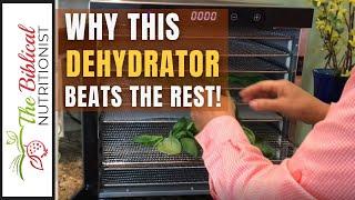 Best Dehydrator For Food in 2024 - All The Features You REALLY Need!