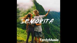 Shawn Mendes, Camila Cabello | FerdyMusic