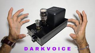 DarkVoice 336 SE Review (THAT TUBE LIFE)