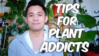 HOW I MANAGED MY PLANT ADDICTION | TIPS TO CONTROL YOUR URGES