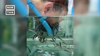 Russian Spa Uses Fish for Facials