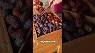 Больше идей в моем телеграмм канале, по ссылке в описании