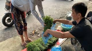 Building a new life l Going to the forest to pick vegetables to sell at the market l Thiện Mán TV