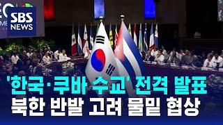 '한국 · 쿠바 수교' 전격 발표…북한 반발 고려 물밑 협상 / SBS