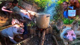 BEFORE CHRISTMAS THIS HAPPENS FERAL HOG catch clean cook