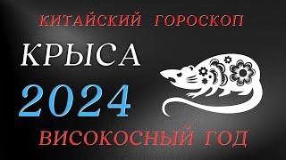 Крыса  2024 - Високосный год | Китайский  Гороскоп год Дракона