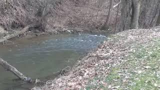 Creek in Switzer, WV (January 28th, 2019)