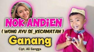 NOK ANDIEN ( Wong Ayu Sekecamatan ) _ COVER _ GANANG _ Cipt. Ali Gangga