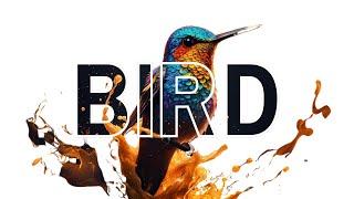 How to Design Text Effect on Bird using Canva | Canva Tutorial | Canva Pro Tutorial