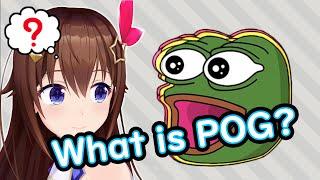 What is mean "POG" - Tokino Sora【 Hololive ▷ Eng sub】