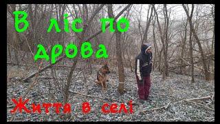 В ліс по дрова. Життя в селі.