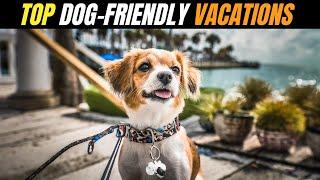 10 Dog-Friendly Vacation Trips in the US