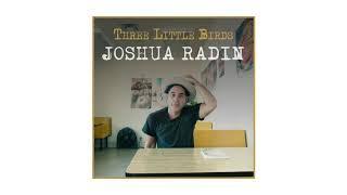 Joshua Radin - Three Little Birds (Bob Marley Cover)