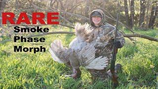 RARE Smoke Color Phase Turkey Hunt