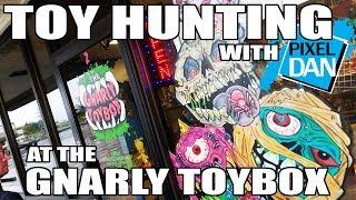 TOY HUNTING with Pixel Dan at The Gnarly Toybox